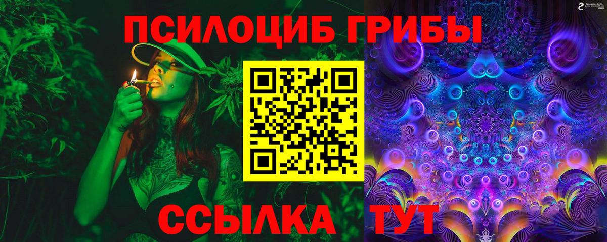 Галлюциногенные грибы MAGIC MUSHROOMS  Вход с VPN  Светлоград 
